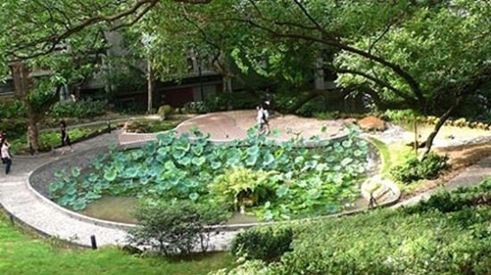 香港大学