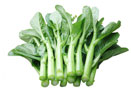  叶菜类A1菜心