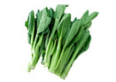 菜心苗